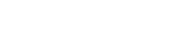 Partners - Liberty Mutual