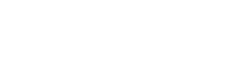 Partners - Mercury Insurance